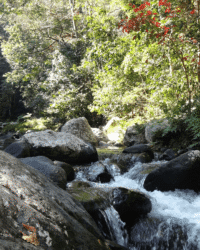 Sumbawa Semongkat 1
