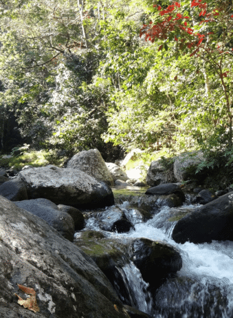 Sumbawa Semongkat 1