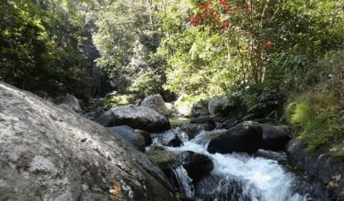 Sumbawa Semongkat 1