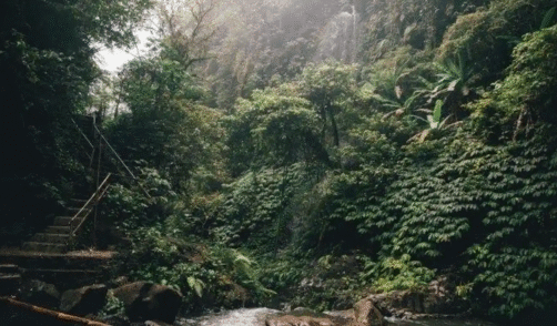 Sumbawa Semongkat