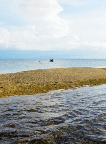 Sumbawa Takat Sagele 1