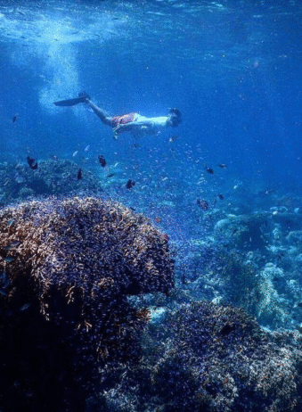 Sumbawa Takat Sagele 3
