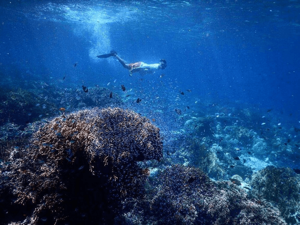 Sumbawa Takat Sagele 3