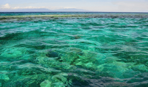 Sumbawa Takat Sagele