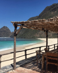 Sumbawa Tropical Beach