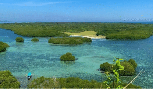 sumbawa Kamping island 1