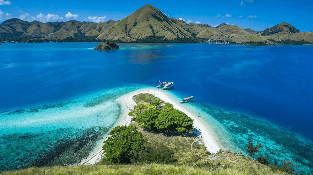 Flores Pulau Kelor