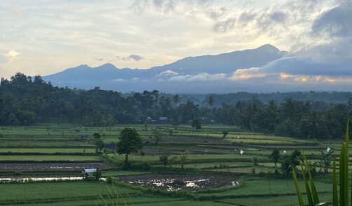 Lombok Sedau Jae 1