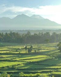 Lombok Sedau Jae 2