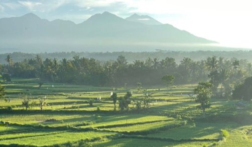 Lombok Sedau Jae 2