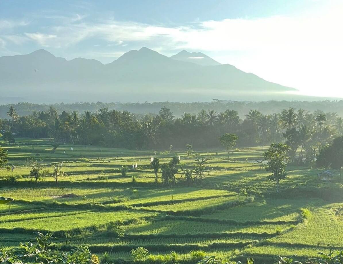 Lombok Sedau Jae 2