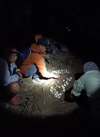 Archipel360 Java Sukamade Margo Utumo Kalibaru 16