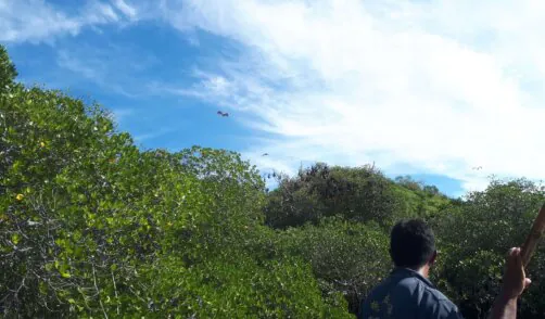 Archipel360 - Flores -Riung 11