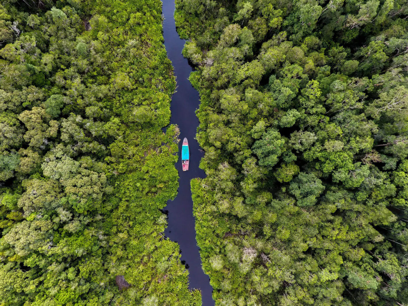 Making our way down the river of Tanjung Putting, Borneo