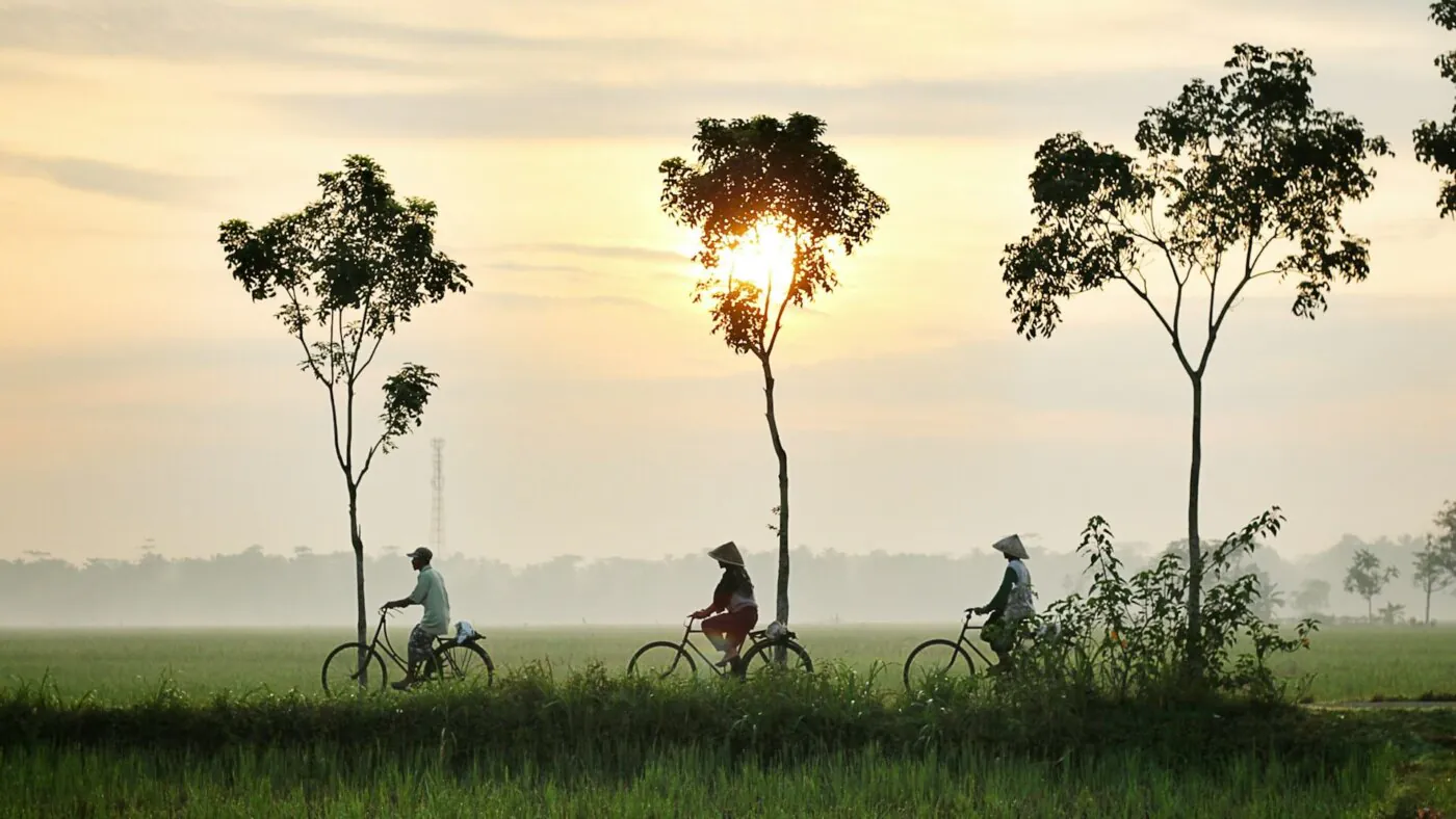 velo-Bali-Ubud-nature