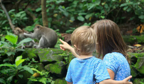 family looking at wild monkey in nature
