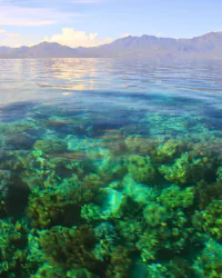 Flores Maumere Pulau Pangabatang 2